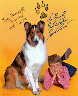 lassie.jpg