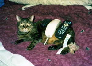 05.jpg