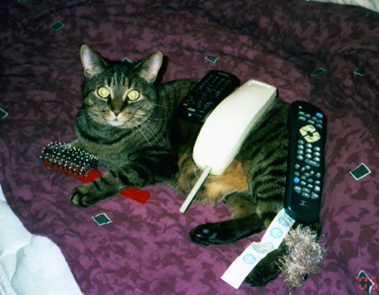 05a.jpg 05a.jpg