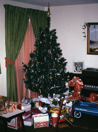 The Terrible Catsafterme » Blog Archive » CHRISTMAS 3 – 1973